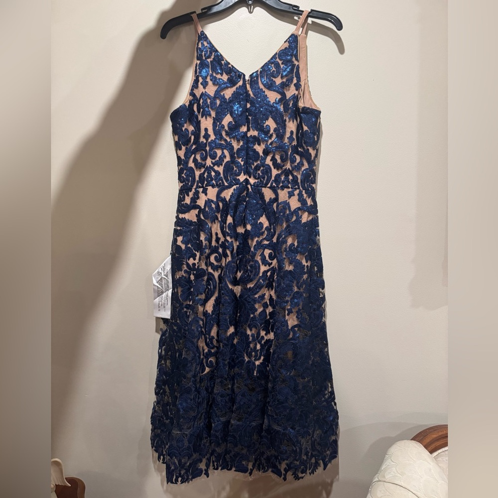 Dress the Population Navy Blue and Nude Lace Midi Dress - Picture 9 of 10